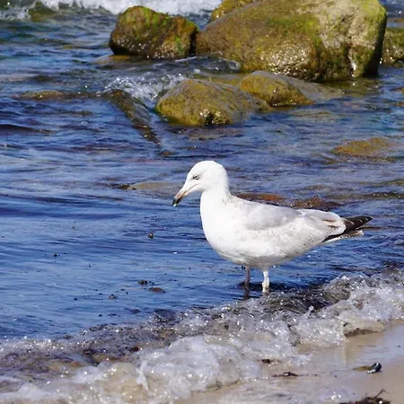 Golferzimmer דירה *
